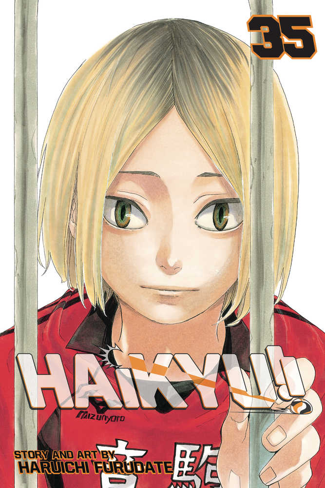 Haikyu Graphic Novel Volume 35
