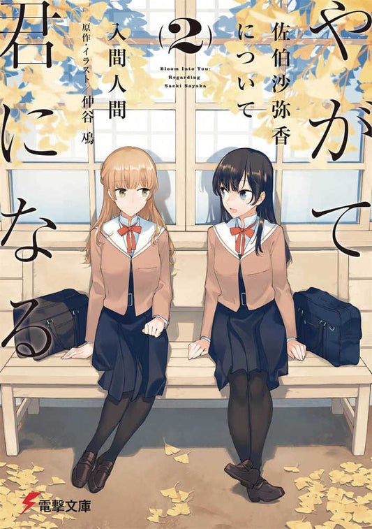 Bloom Into You Light Novel Softcover Volume 02
