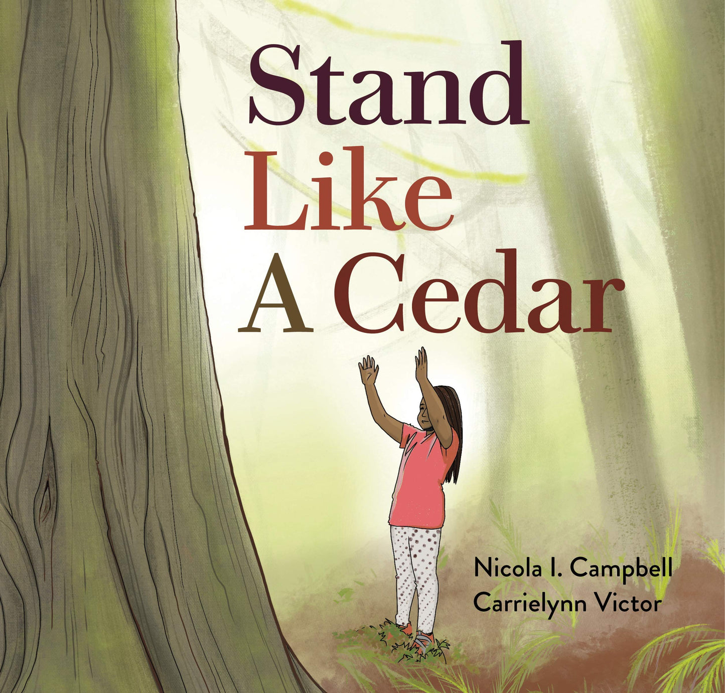 Stand Like A Cedar