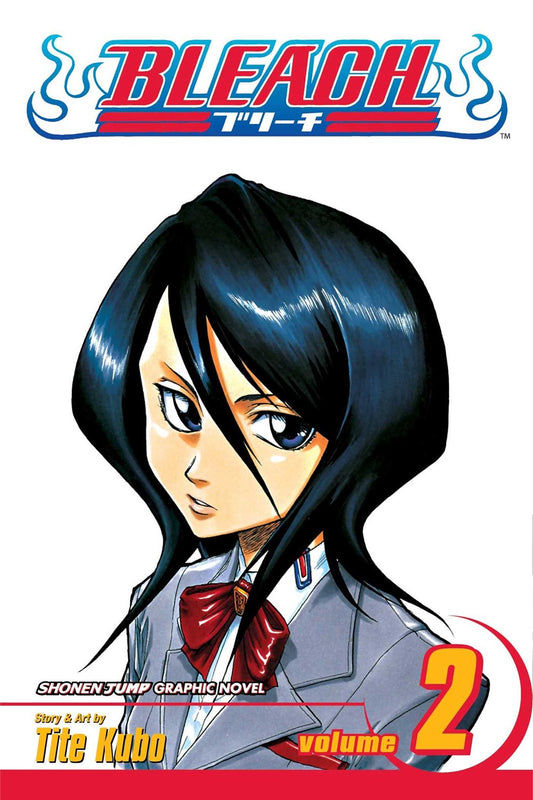 Bleach Vol. 02