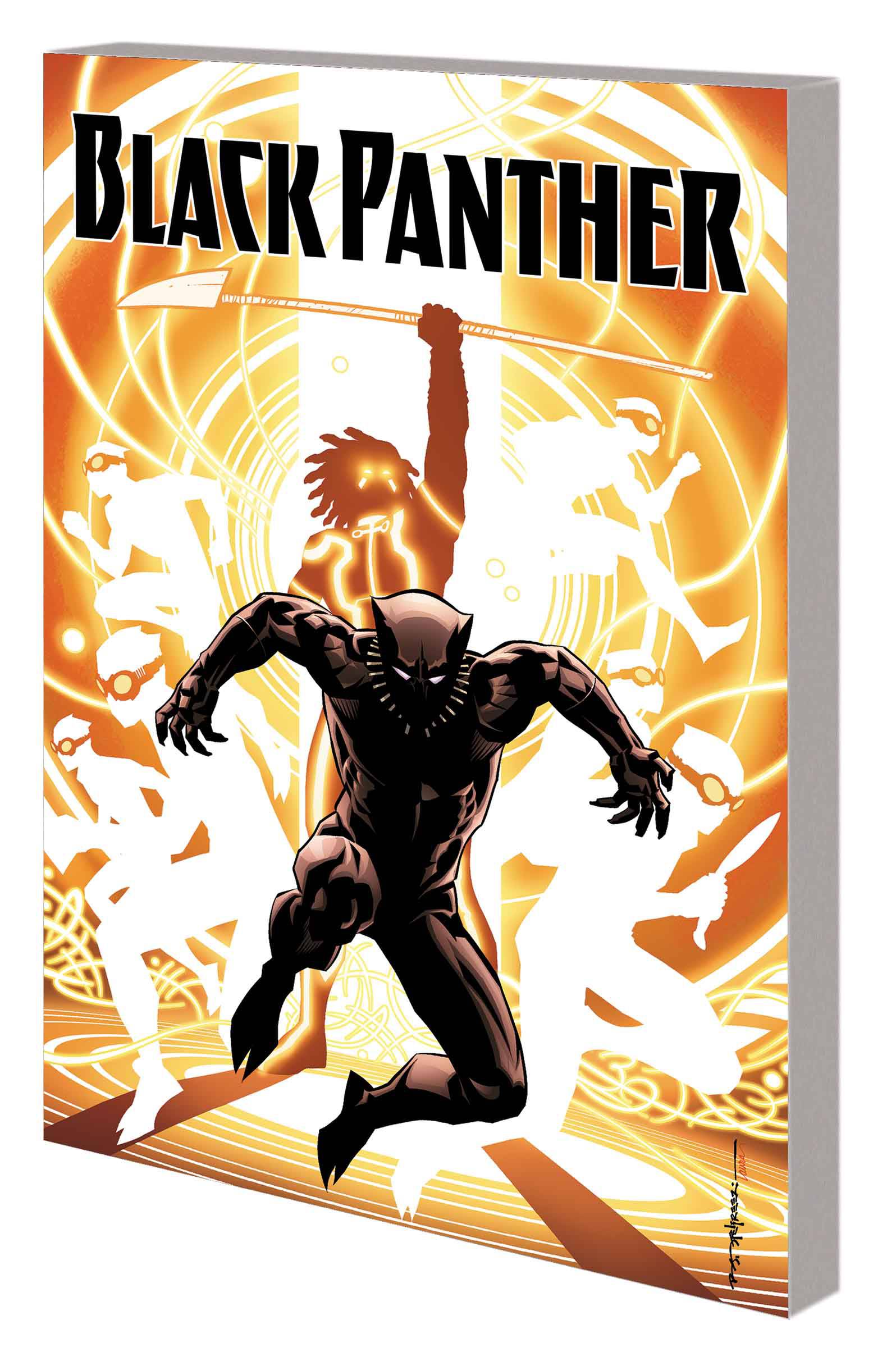 Black Panther Book 02 Nation Under Our Feet